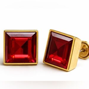 Michael Kors Earrings